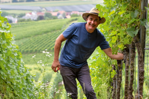Dirk brenneisen Landwein-Winzer in Egringen