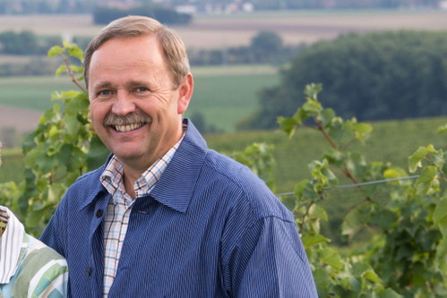 Herbert Koch vom Abthof in Hahnheim, einem ehemaligen&nbsp; Zisterzienser-Gut, pflegt gemeinsam mit seinem Sohn Martin Orleans-Reben.