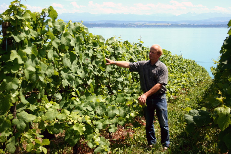 Jean-Denis Perrochet von La Maison Carrée gilt in Neuenburg als Pionier des biodynamischen Rebbaus.