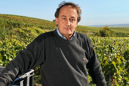 Die Champagner von Egly-Ouriet sind ausdrucksstark und einzigartig.