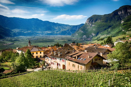 Trentodoc: Aus dem Trentino kommen rassige, finessenreiche Trentodoc-Schaumweine.