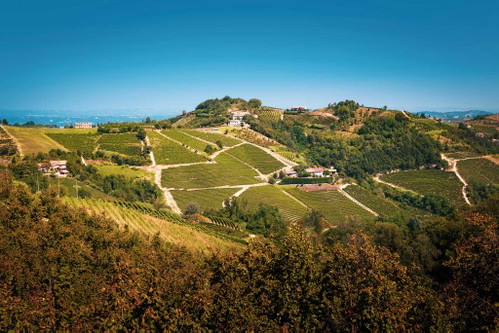 Alta Langa: Das Piemont hat bei Schaumweinen eine lange Tradition und punktet mit Alta Langa.