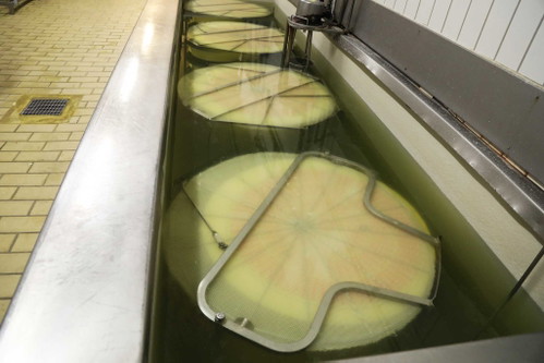 In der Salzlake wird der frische Käse auf die Reife vorbereitet.