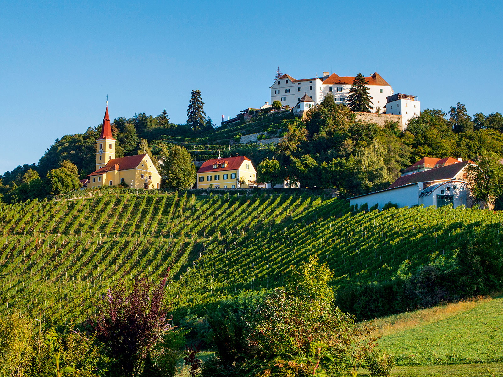 Schloss Kapfenstein mit der Lage Kirchleiten, eine Große STK Ried mit 30 Prozent Hanggefälle.