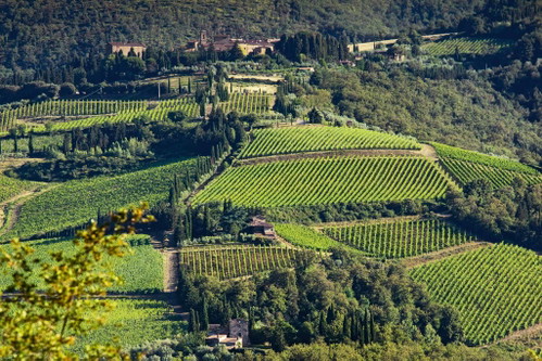 Castello di Volpaia: Hier begann man schon früh mit Lagendiversifizierung.