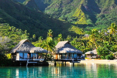 Moorea, in Sichtweite von Tahiti, betört mit ihrer Vielfalt an bunt blühenden Gewächsen und tropischen Früchten.