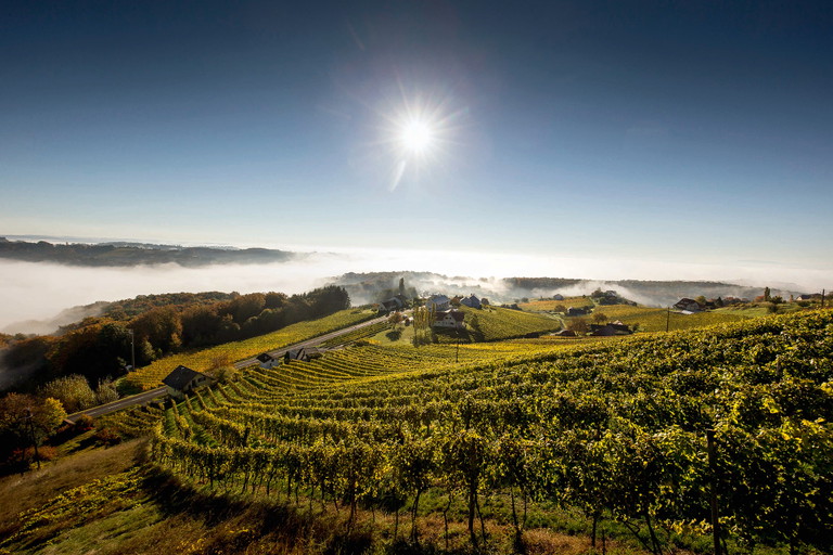 Die Weinlandschaft rund um Klöch ist die Heimat der bekanntesten Traminer Österreichs.
