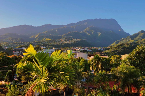 Von Palmen umwoben: Papeete, Hauptstadt von Französisch-Polynesien auf Tahiti und größter Hafen.