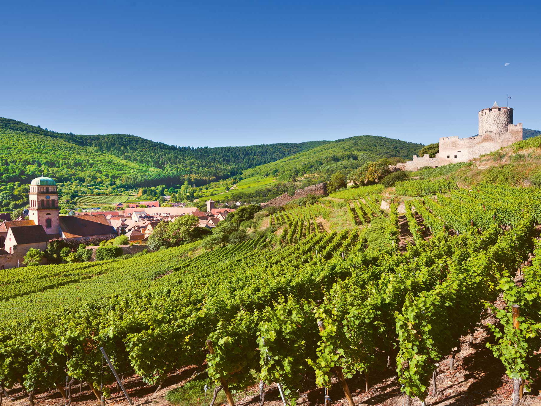 Die wichtigsten Crémants kommen aus dem Elsass, von der Loire und aus dem Burgund.