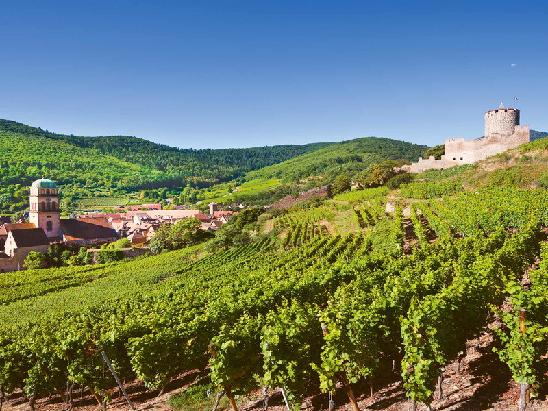 Die wichtigsten Crémants kommen aus dem Elsass, von der Loire und aus dem Burgund.