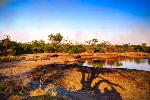 Platz 5: Eswatini (Swasiland)
