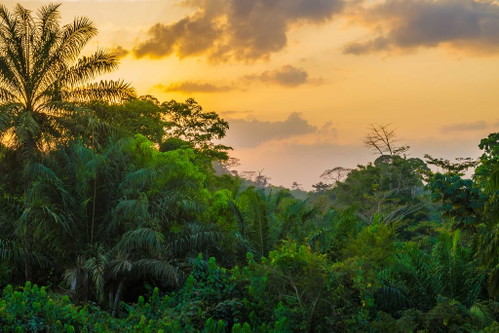 Platz 8: Liberia