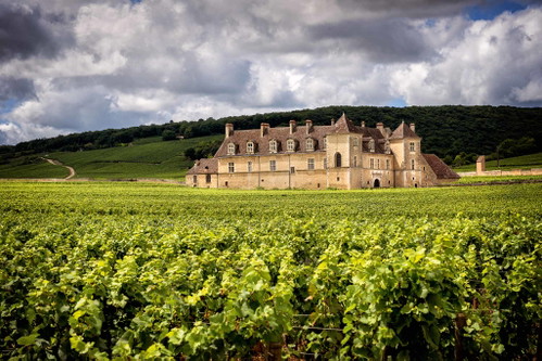 Das Château im Clos de Vougeot gehörte einst Jean-Nicolas Méos Urgrossonkel Étienne Camuzet.