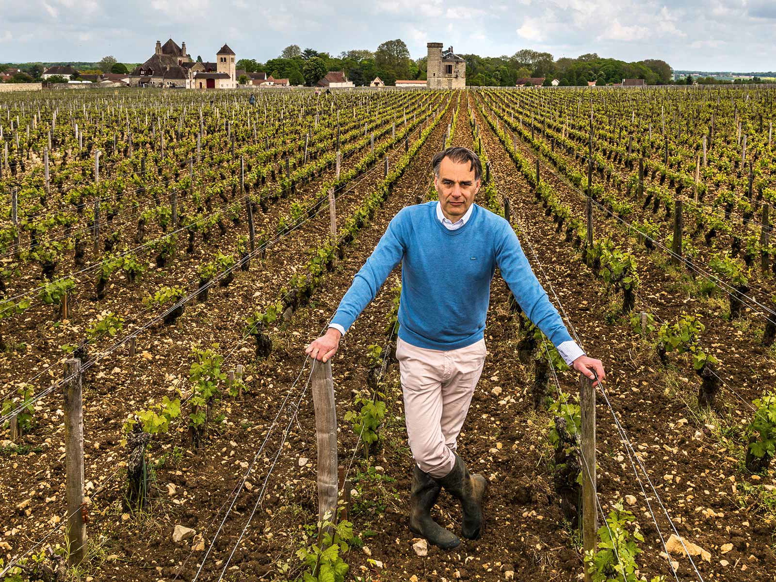 Jean-Nicolas Méo führt das Familienunternehmen »Domaine Méo-Camuzet«.