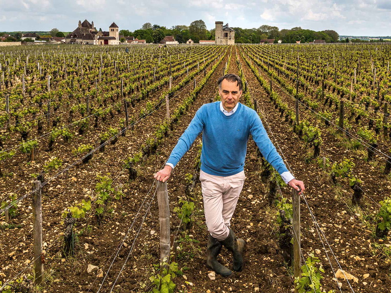 Jean-Nicolas Méo führt das Familienunternehmen »Domaine Méo-Camuzet«.