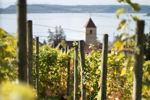 Schott Weine – Anne-Claire Schott
