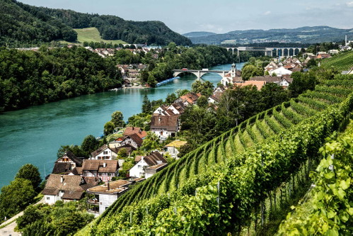 Das Weingut Bechtel in Eglisau.