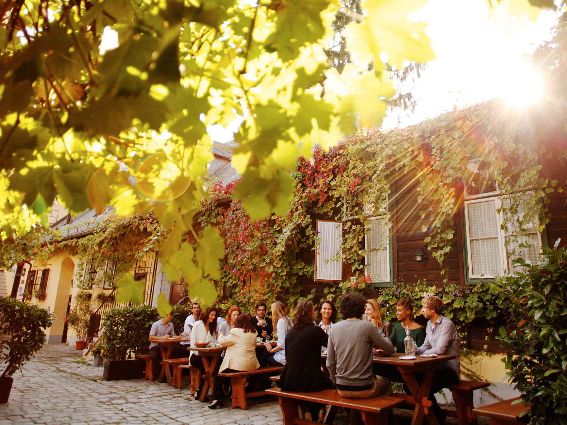Die Wiener nennen den Heurigen ihr »Wohnzimmer im Grünen«. Hier wird der Wein zu kalten und warmen Schmankerl kredenzt.
