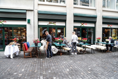 «Pic Chic»