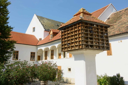 3. Cselley Mühle Als die »Mü« bekannt, ist das 400 Jahre alte, denkmalgeschützte Gebäude als Kultur- und Aktionszentrum nicht mehr wegzudenken. Vom kleinen Experiment im Kellertheater über Lesungen bis hin zu Open-Air-Veranstaltungen finden hier Kunstformen in allen Variationen Raum. cselley-muehle.at