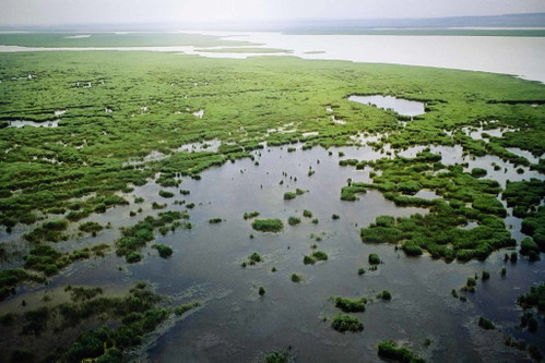 Der Nationalpark Neusiedler See – Seewinkel ist aus jedem Blickwinkel bemerkenswert.