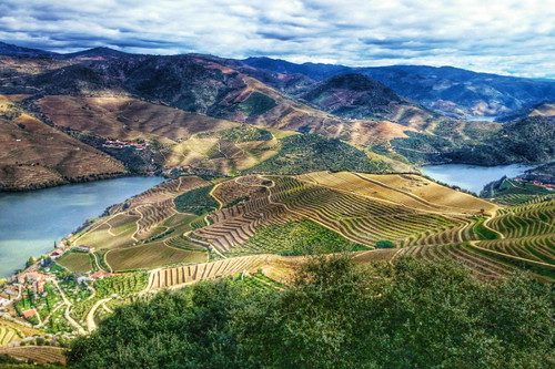 Quinta de Vargellas: Die ältesten Reben haben hier ein Alter von 120 Jahren. Neue Terrassen sind so gestaltet, dass Regenwasser im Hang bleibt.