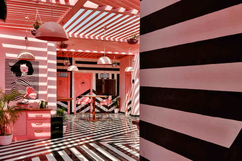 Das »Pink Zebra« in Indien ist schlichtweg&nbsp; mit nichts zu verlgeichen. Strenge Geometrie trifft auf Kaugummirosa.