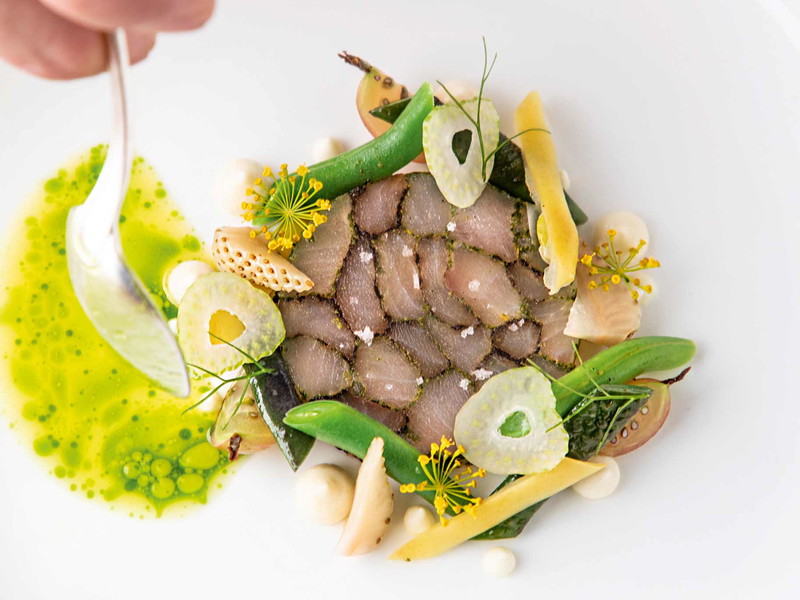 Brian Wawryk kreiert Wels-Medaillon mit Brennessel- und Paprika-Dressing.