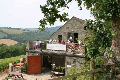 Seit 1989 baut Ex-Air-Force-Pilot Bob Lindo auf seinem Gut Camel Valley in Cornwall Wein an.