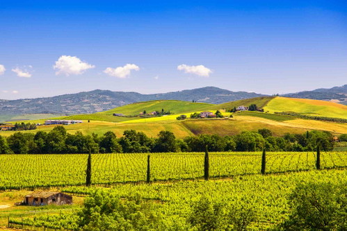 Die Landschaft von Montalcino mit Zypressen und Grünflächen.