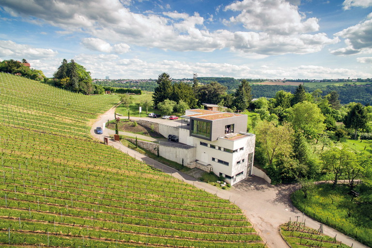 Kellerneubau 2012: Jedes Stockwerk entspricht einem Schritt der Weinbereitung.