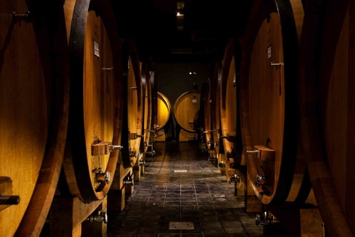 &nbsp;Reifekeller: Brunello di Montalcino