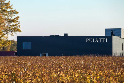 Weinkellerei Puiatti (Friaul)