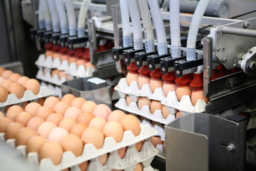Bei Eiern heißt es in Österreich: Bio bevorzugt.