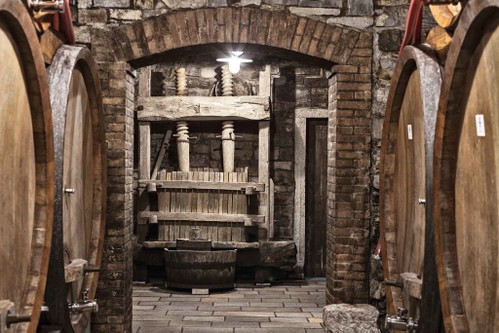 In Joško Gravners Reifekeller dominieren die grossen alten Holzfässer aus slawonischer Eiche.