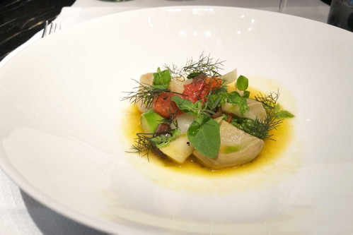 Junger Fenchel