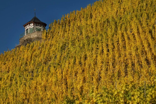 Weinbergshäuschen im Doctor.