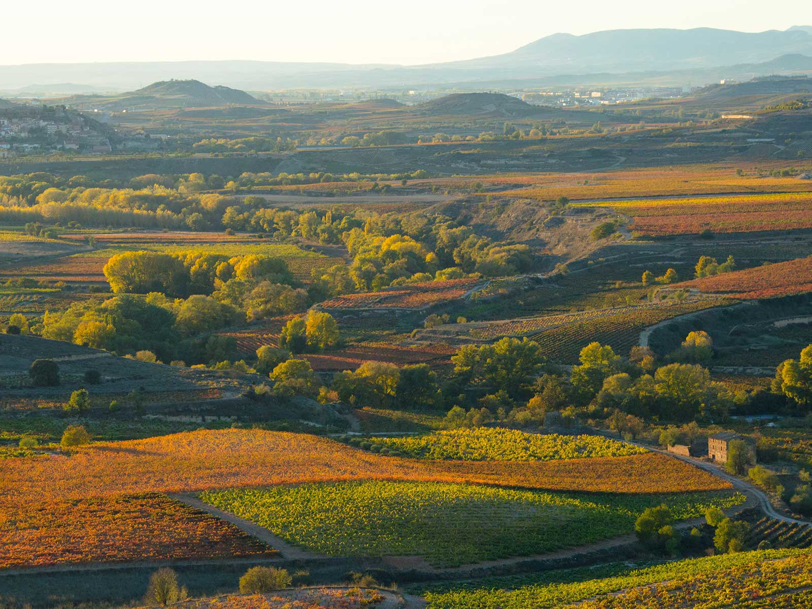 Die Rioja im Herbst.