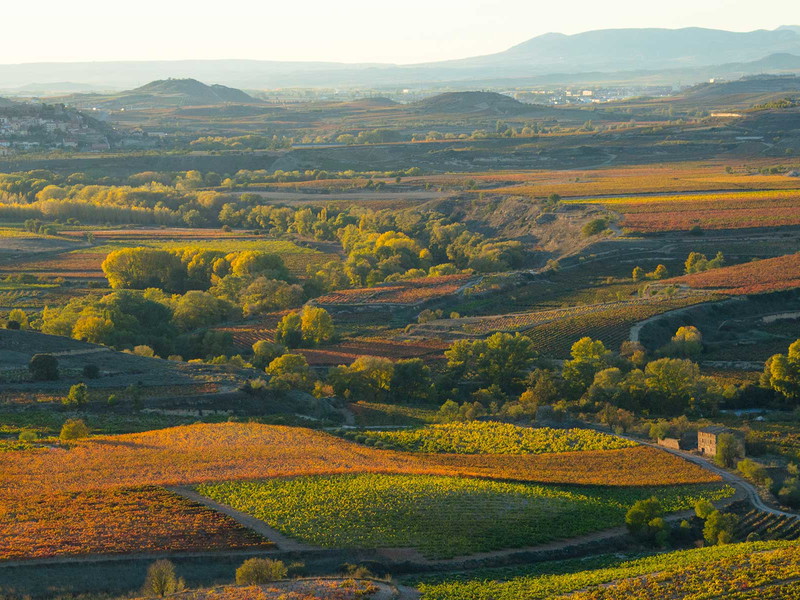 Die Rioja im Herbst.
