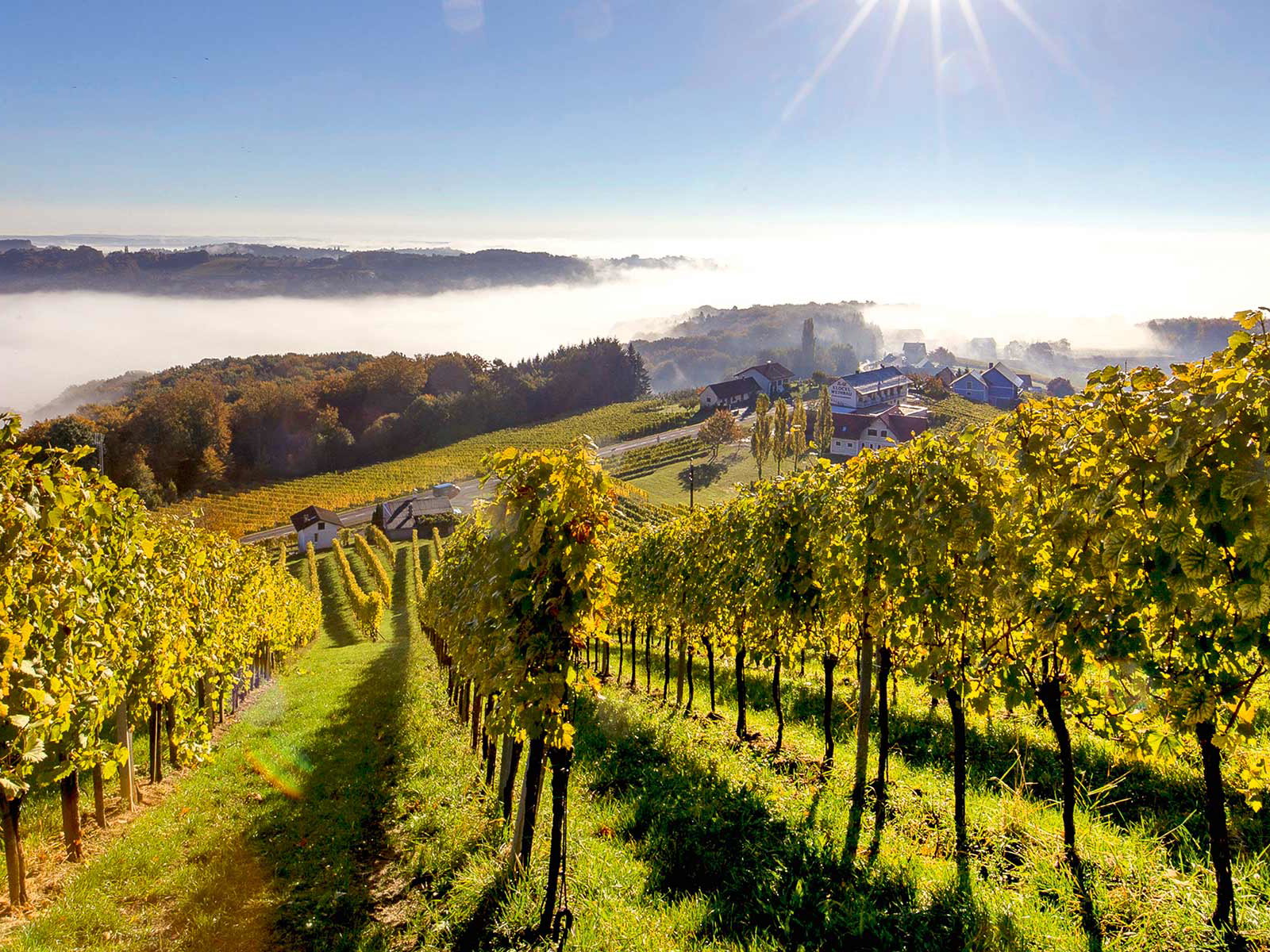 Das Weinland der Steiermark ist geprägt von seinen pittoresken Hügellandschaften mit steil angelegten Weingärten.