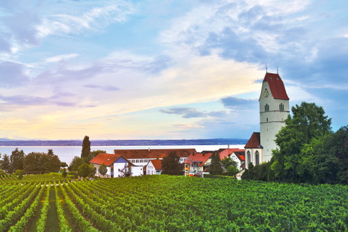 Die WG Hagnau am Bodensee wurde 1881 gegründet und ist heute innovativer denn je.