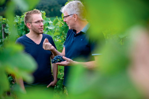 Beckstein im Taubertal: die Kellermeister Manfred Braun (r.) und Florian Döller.