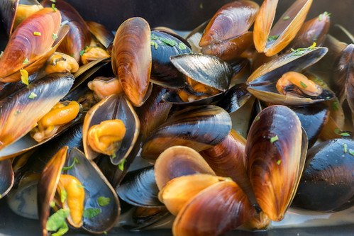 Wer sich immer schon gefragt hat: die orangen, vollfleischigen ­Mies­muscheln sind meistens ­Weibchen, die ­etwas blasseren, schlankeren ­Exemplare ­tendenziell Männchen.