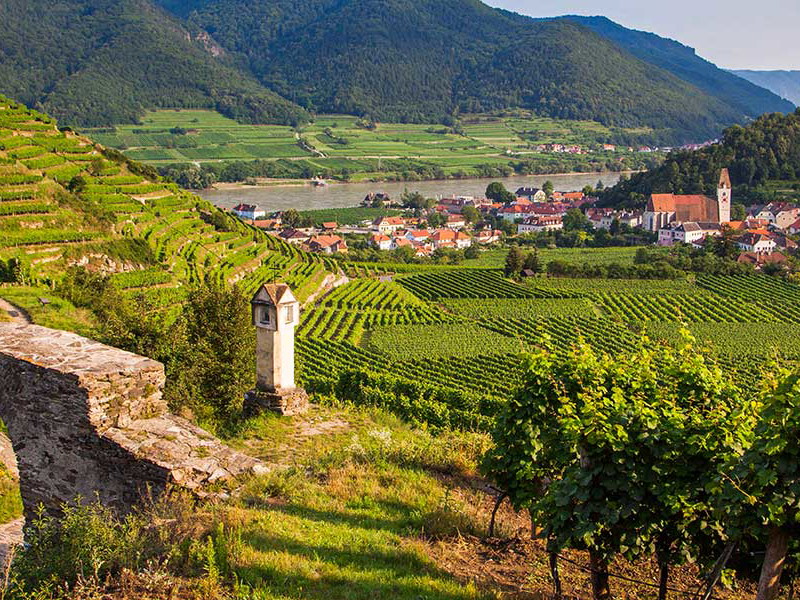Blick vom Roten Tor über Spitz