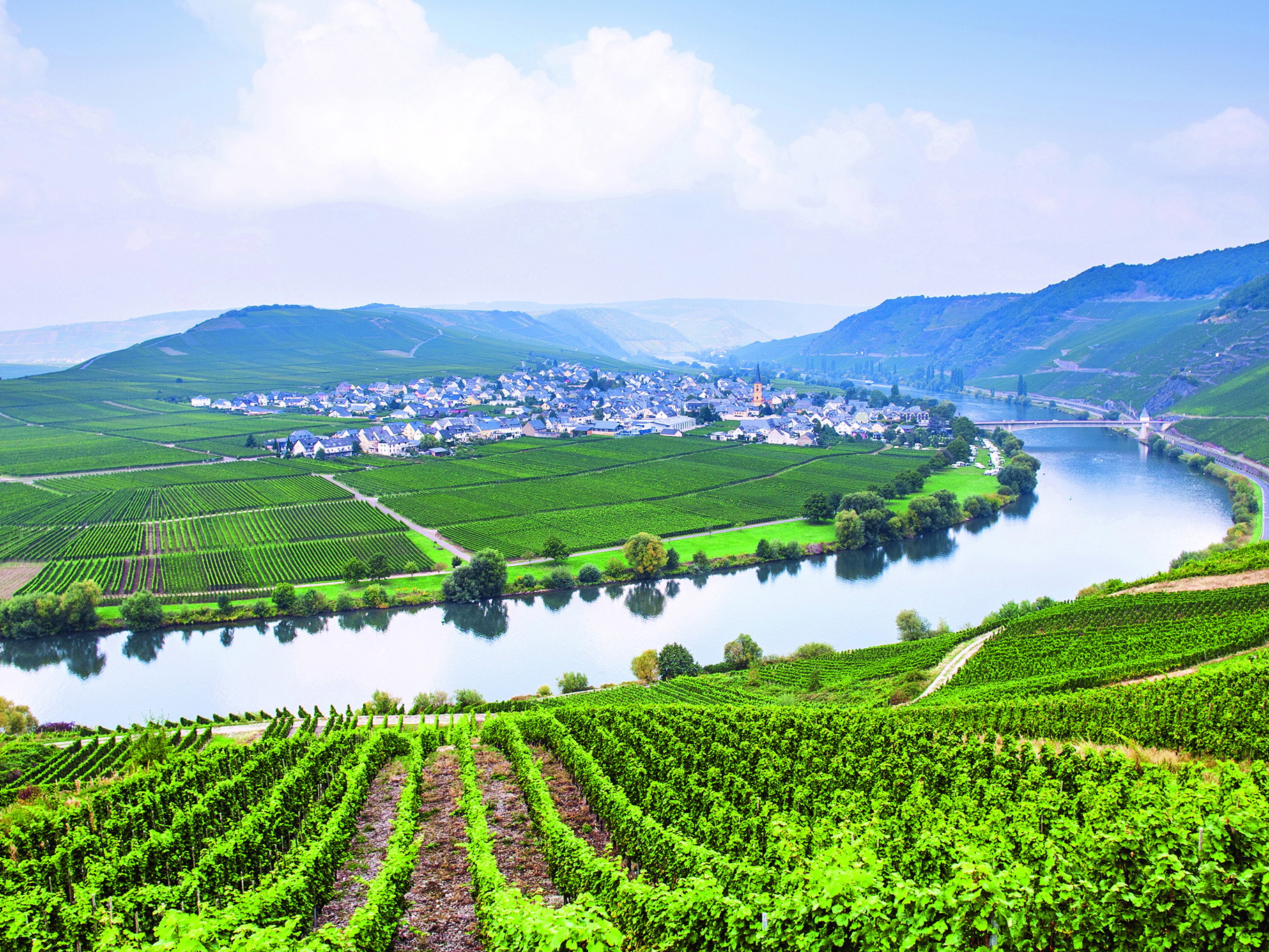 An der Mosel (im Bild: Schleife bei Trittenheim) steht naturgemäß der Riesling-Sekt hoch im Kurs.