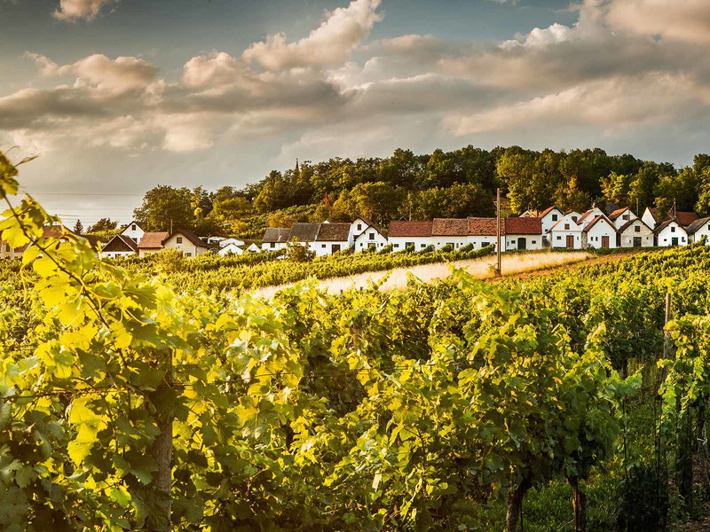Ab dem späten 18. Jahrhundert wurden im Weinviertel von den Winzern Kellergassen errichtet, um die eigenen Trauben verarbeiten zu können.