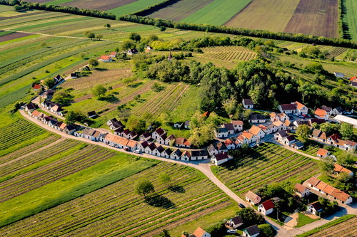 Die Kellergasse Galgenberg in Wildendürnbach gilt als eine der schönsten.