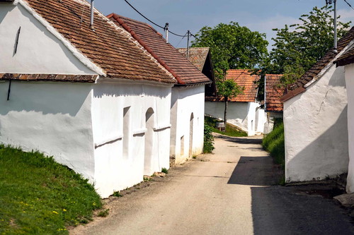 Großartige Atmosphäre: Öhlbergkellergasse in Pillersdorf.