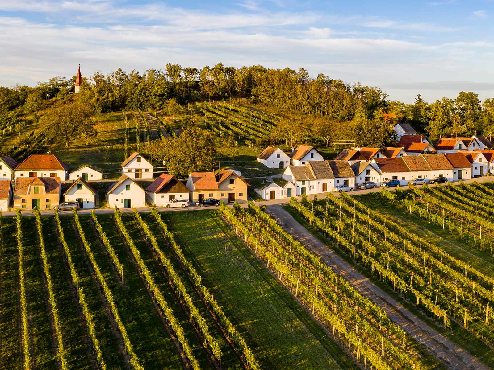 Die Kellergassen in Galgenberg in Wildendürnbach gelten als eine der schönsten!