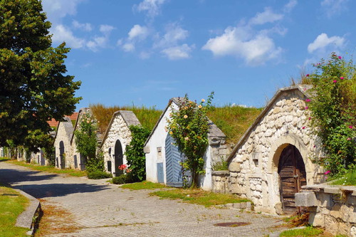 Im Burgenland finden sich sogenannte pannonische Kellergassen – etwa in Purbach am Leithaberg.